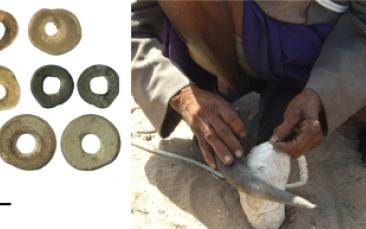 Cover image of Modern human culture could have emerged 44,000 years ago